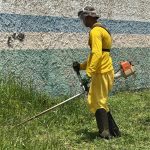 Imagem do WhatsApp de 2025-12-01 à(s) 16.12.13_7a0343a0